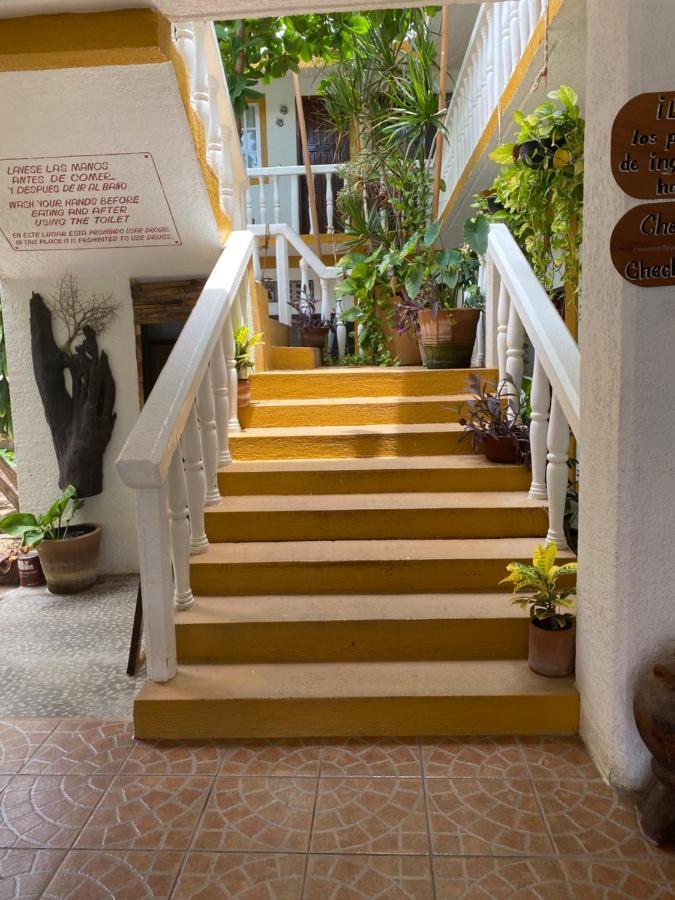 Adoquin Ξενοδοχείο Zipolite Εξωτερικό φωτογραφία
